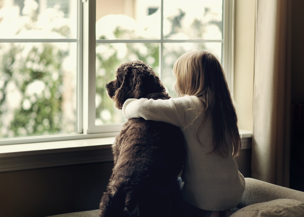 Dog and Child emotional support